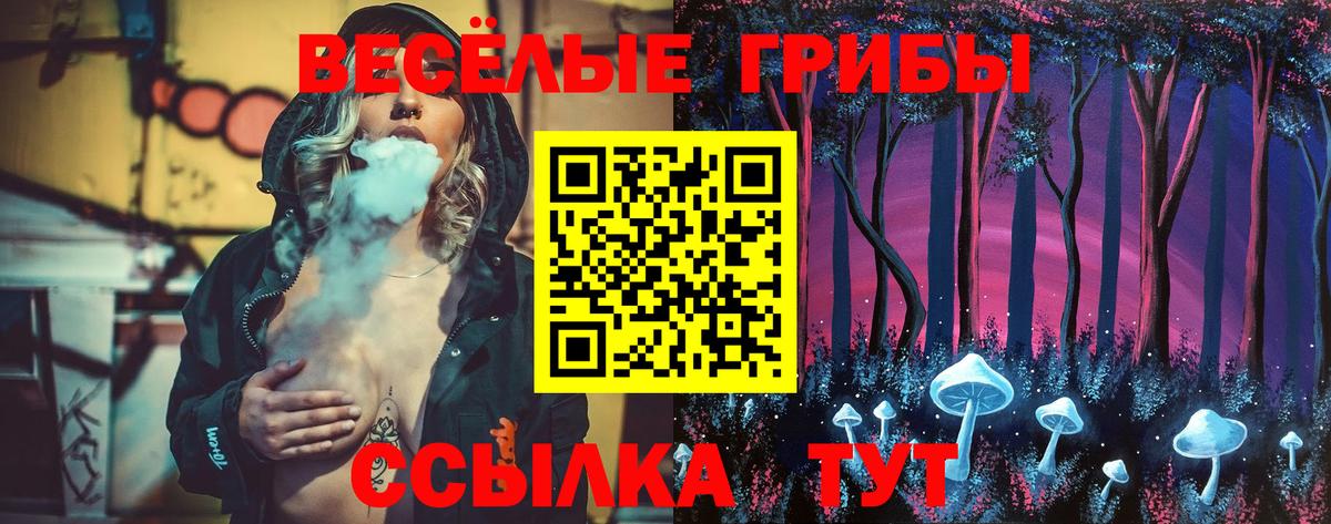 Галлюциногенные грибы Psilocybine cubensis  Вход с VPN  сколько стоит  Ейск 